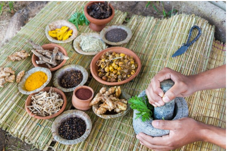 Medicina Tradicional